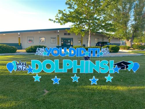 Dolphins